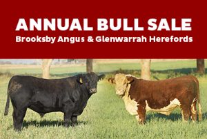 10TH Annual On Property Sale – Wednesday 26th July