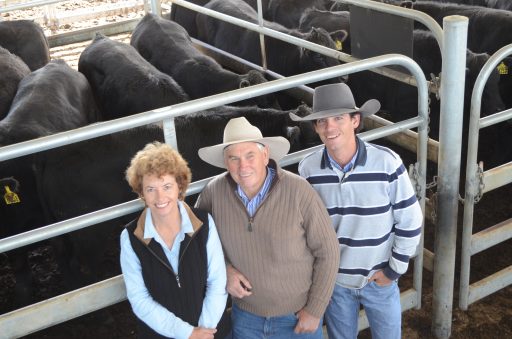 L-R Leanne, Stephen & David Collins in front of the top price pen of Brooksby Angus Steers