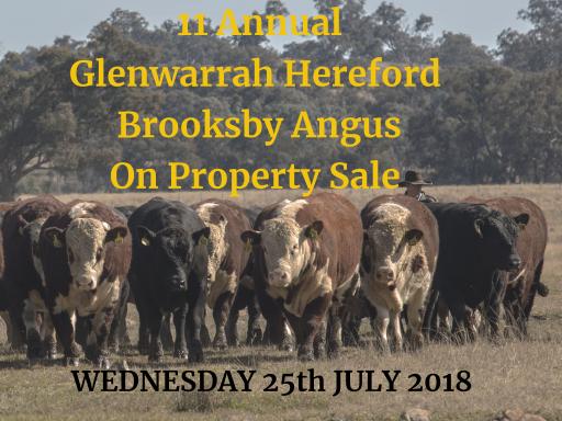 11th Annual Glenwarrah Hereford and Brooksby Angus Sale