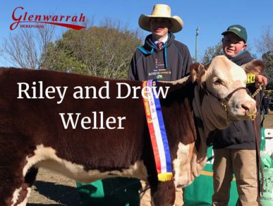 Riley and Drew Weller, Glenwarrah Lass N114
