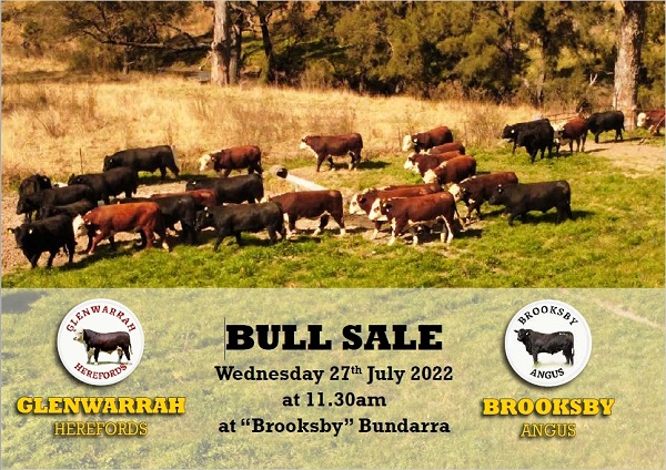 Glenwarrah Hereford and Brooksby Angus 2022 sale catalogue