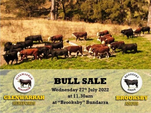 15th Annual Glenwarrah Hereford and Brooksby Angus Sale