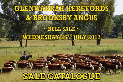 Glenwarrah Herefords and Brooksby Angus Sale Catalogue