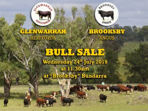12th ANNUAL GLENWARRAH HEREFORD AND BROOKSBY ANGUS SALE