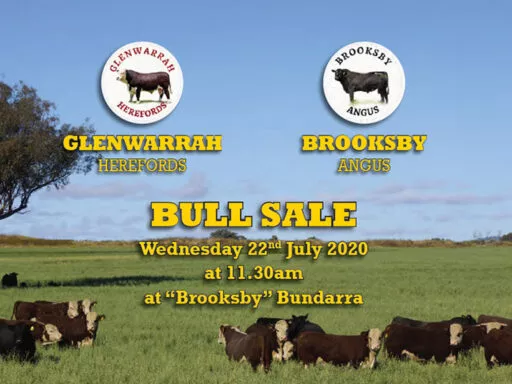 13th Annual Glenwarrah Hereford and Brooksby Angus Sale