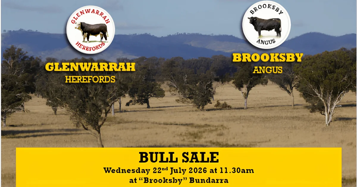 Glenwarrah Hereford & Angus Catalogue 2026